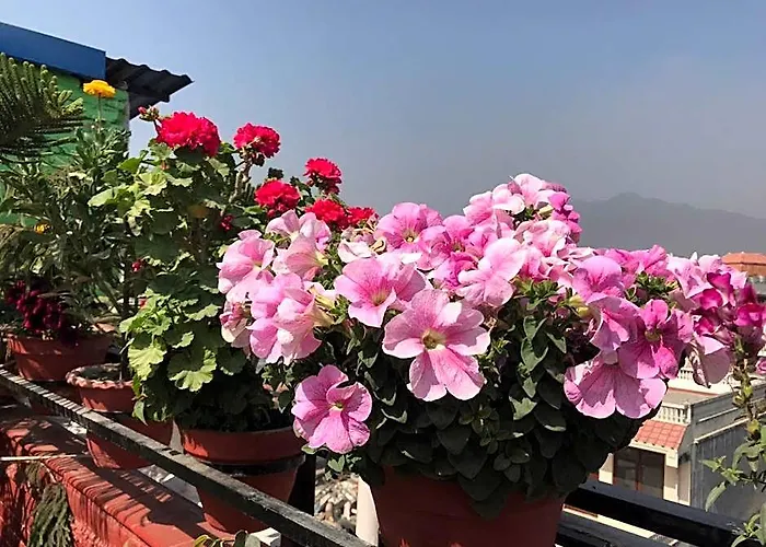 Happy Hotel Kathmandu